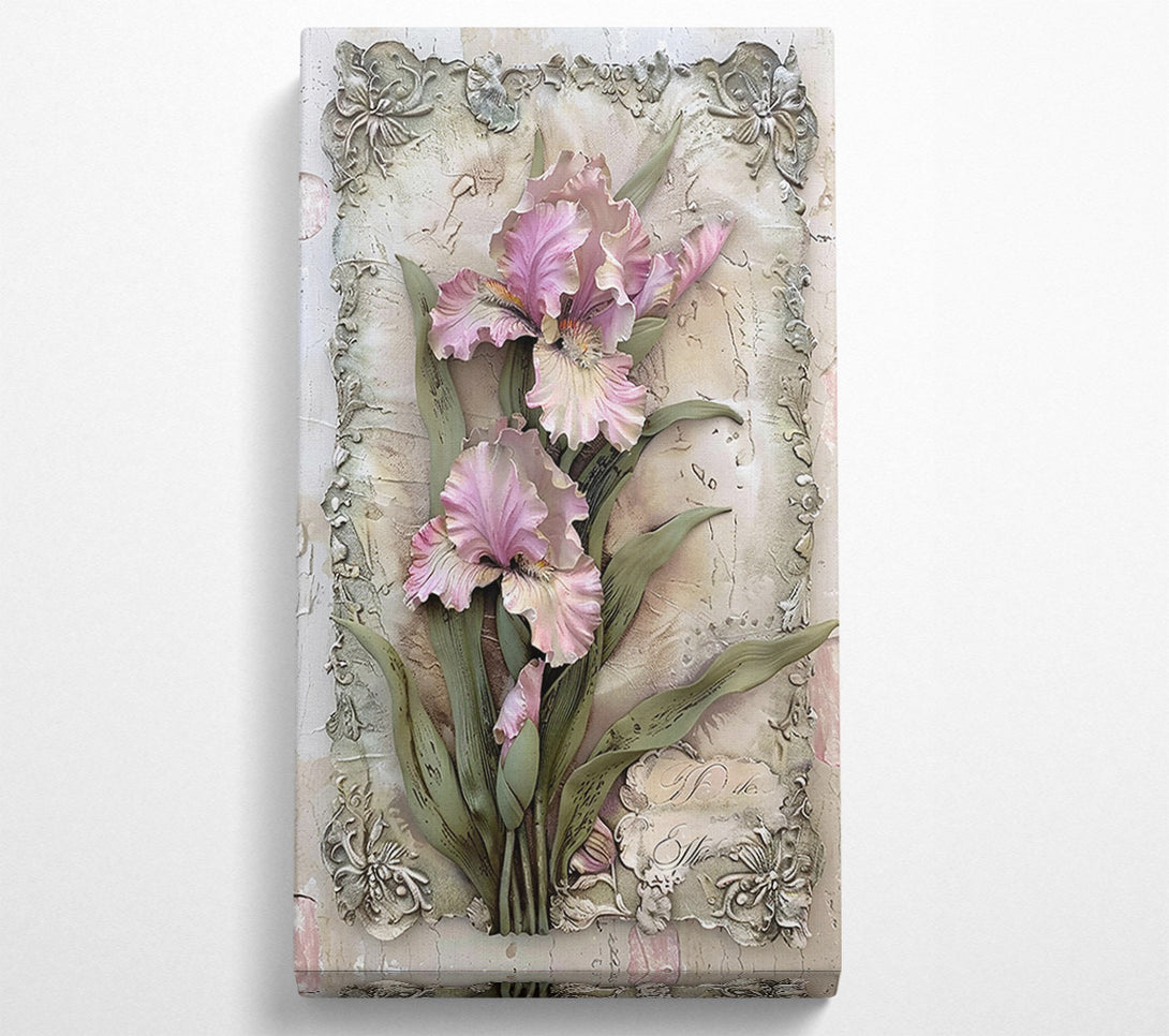  A Canvas Print of Powdered Pink Irises Canvas Art