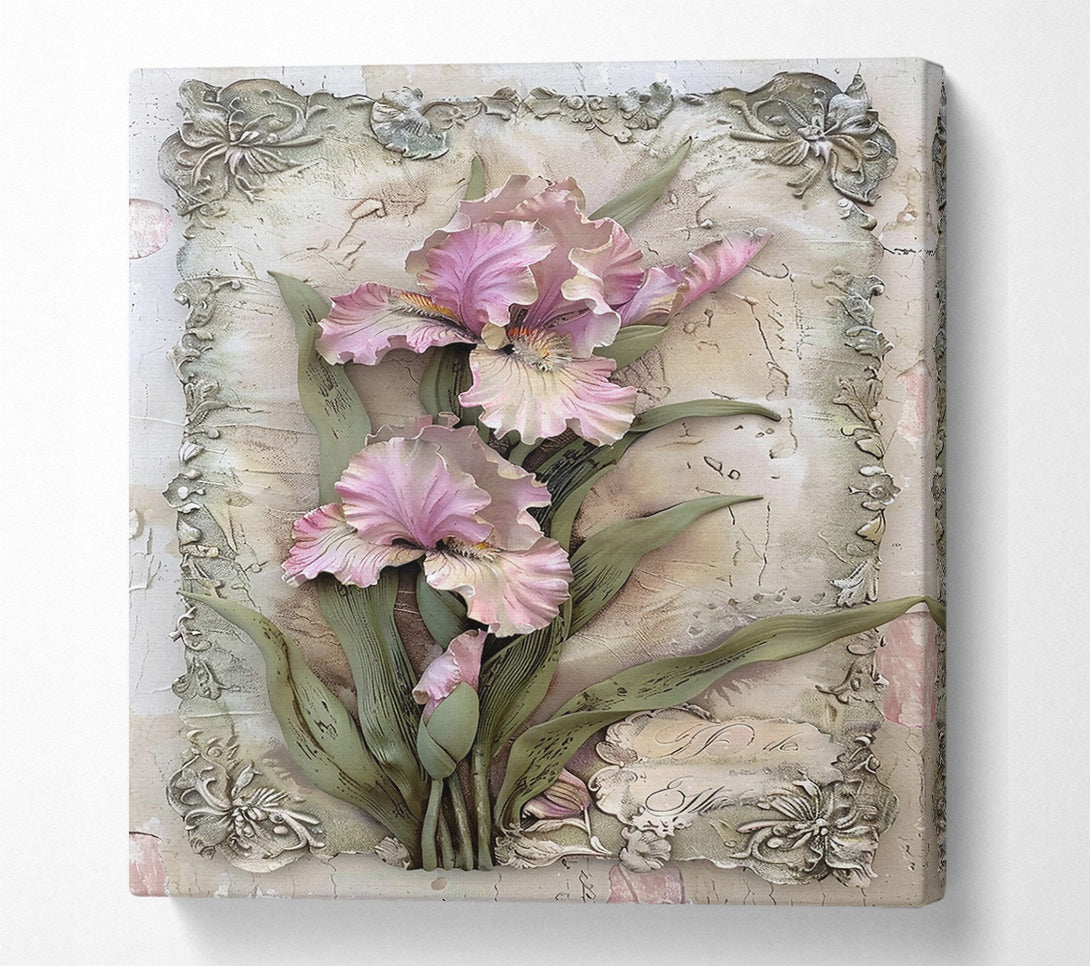  A Canvas Print of Powdered Pink Irises Canvas Art