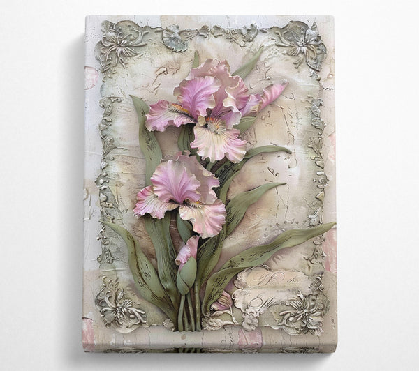  A Canvas Print of Powdered Pink Irises Canvas Art
