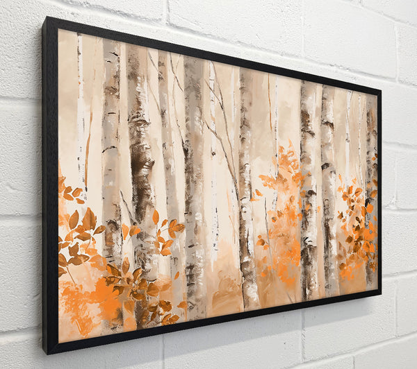 Orange Grove Birch Trees