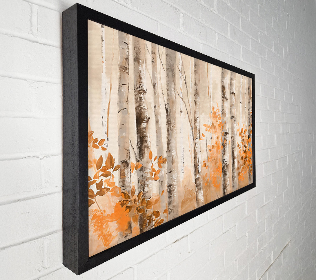  A Canvas Print of Orange Grove Birch Trees Canvas Print