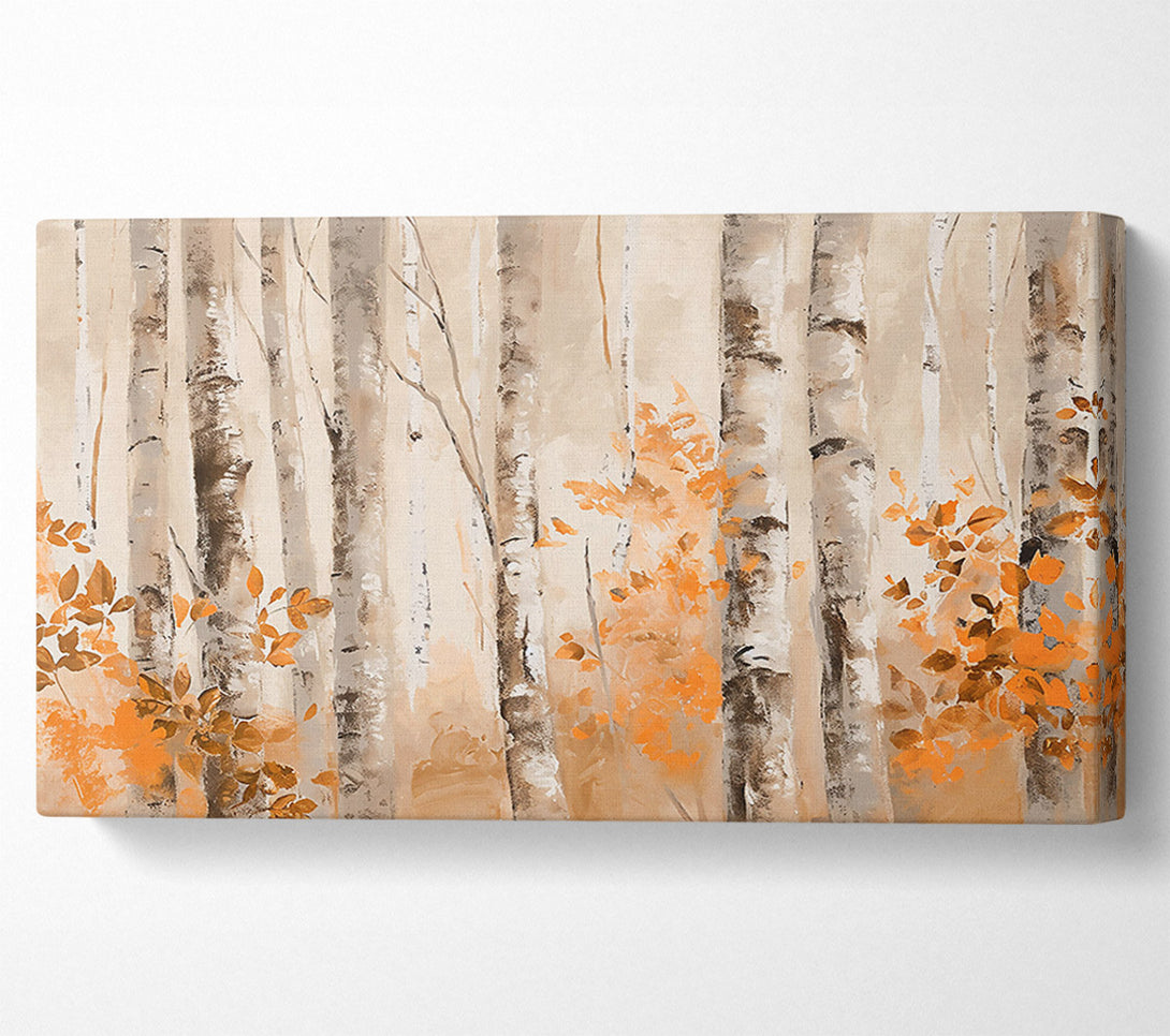  A Canvas Print of Orange Grove Birch Trees Canvas Print