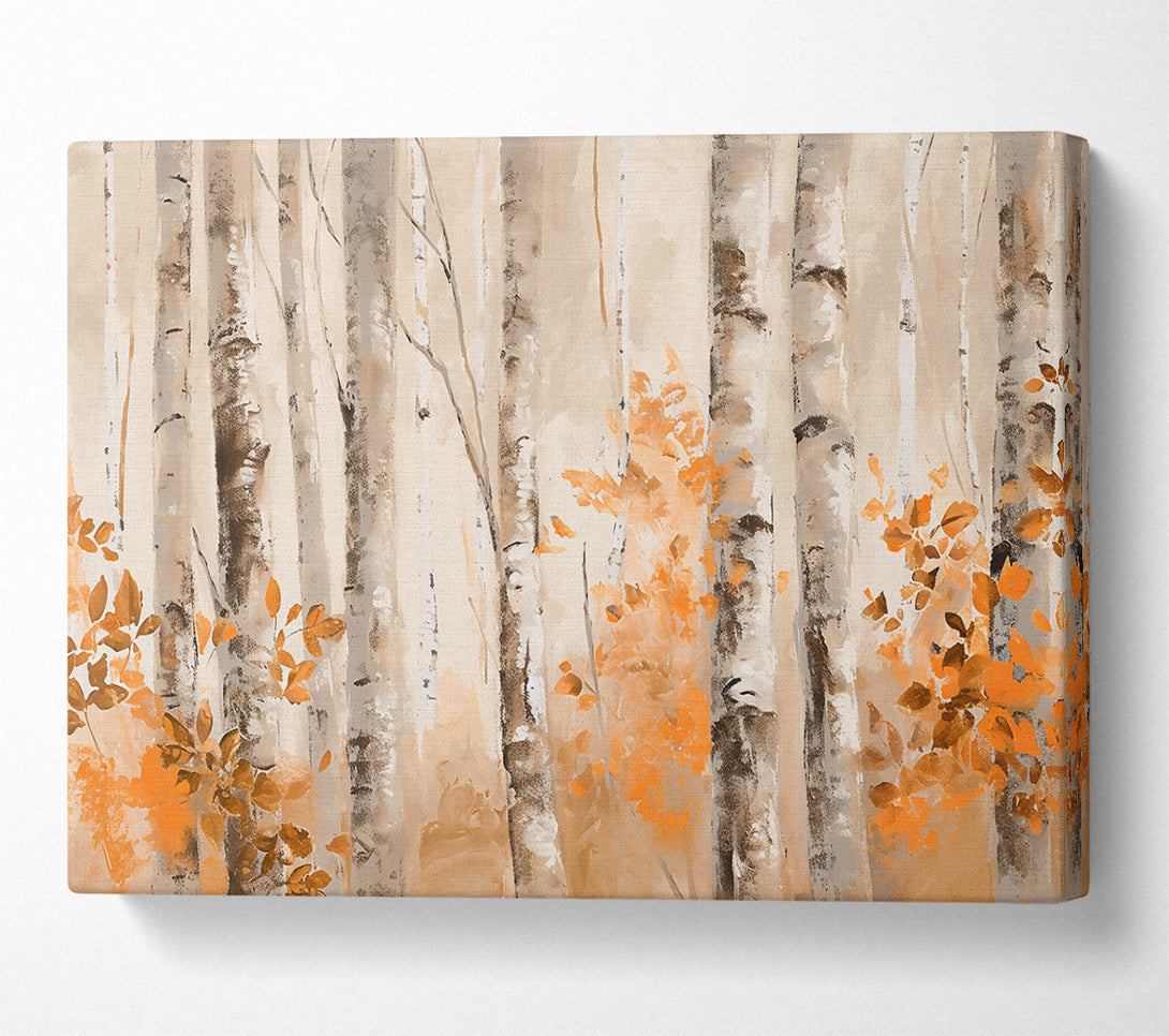  A Canvas Print of Orange Grove Birch Trees Canvas Print