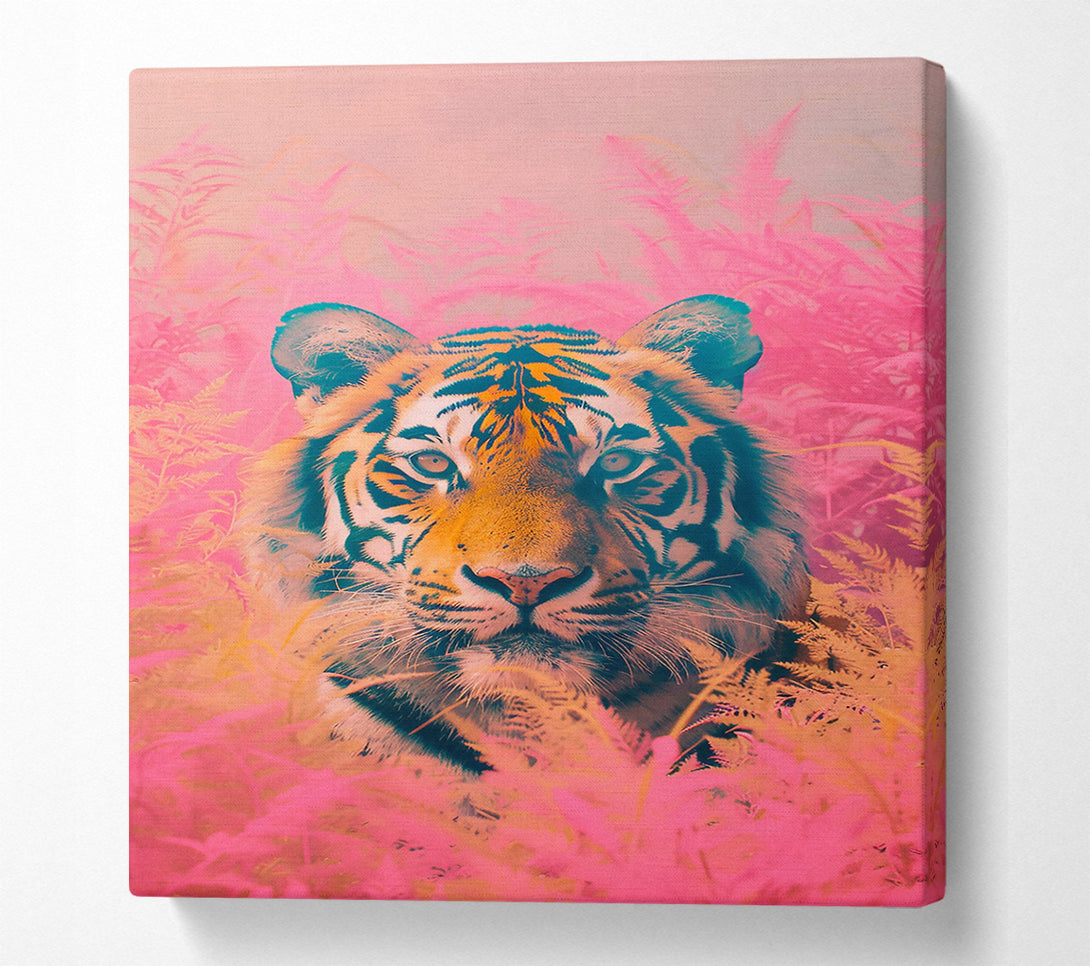  A Canvas Print of Pink Tiger Gaze Canvas Art