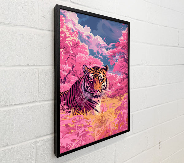 Pink Tiger Dream