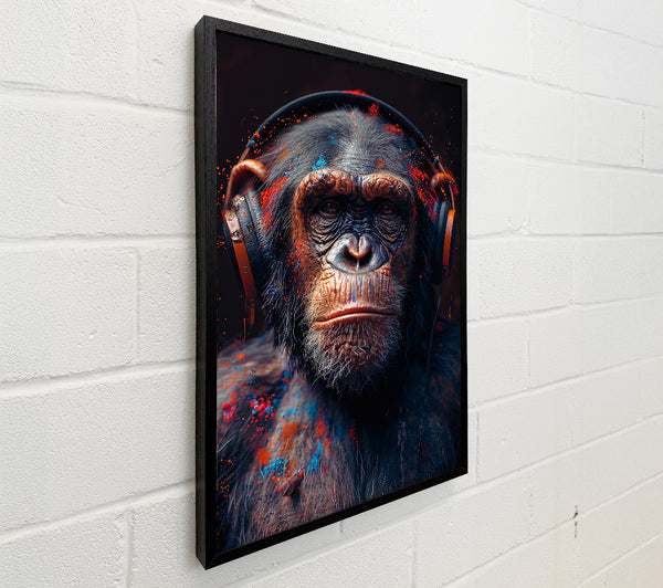 Orange Splashed Chimp