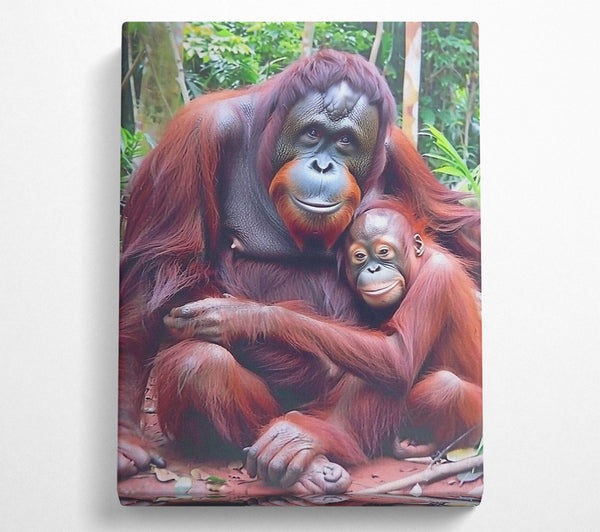  A Canvas Print of Red Furred Family Canvas Art