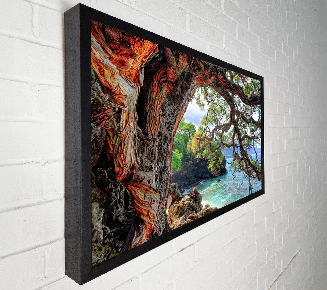  A Canvas Print of Orange Bark Cove Canvas Wall Art