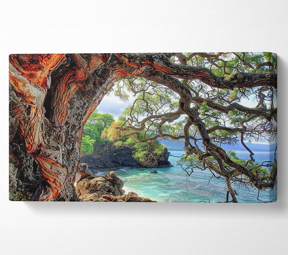  A Canvas Print of Orange Bark Cove Canvas Wall Art