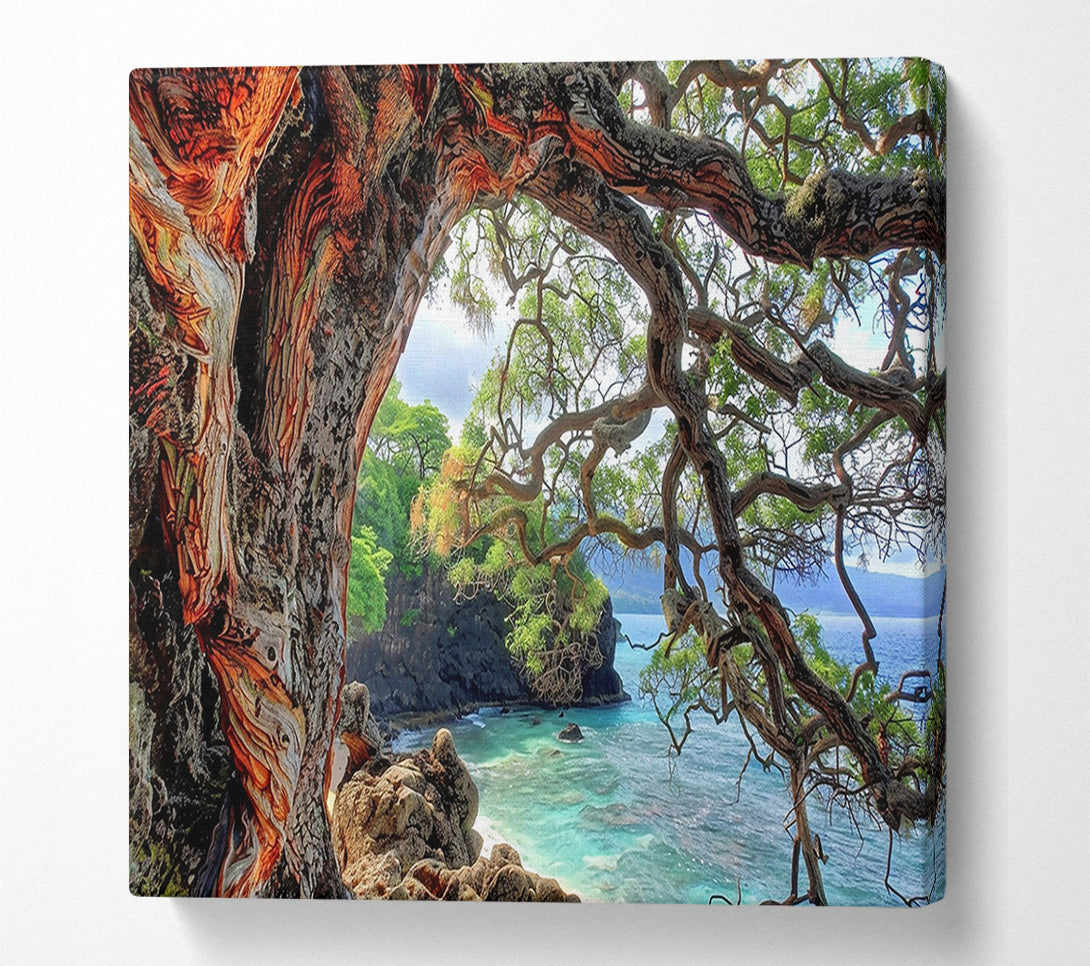  A Canvas Print of Orange Bark Cove Canvas Wall Art