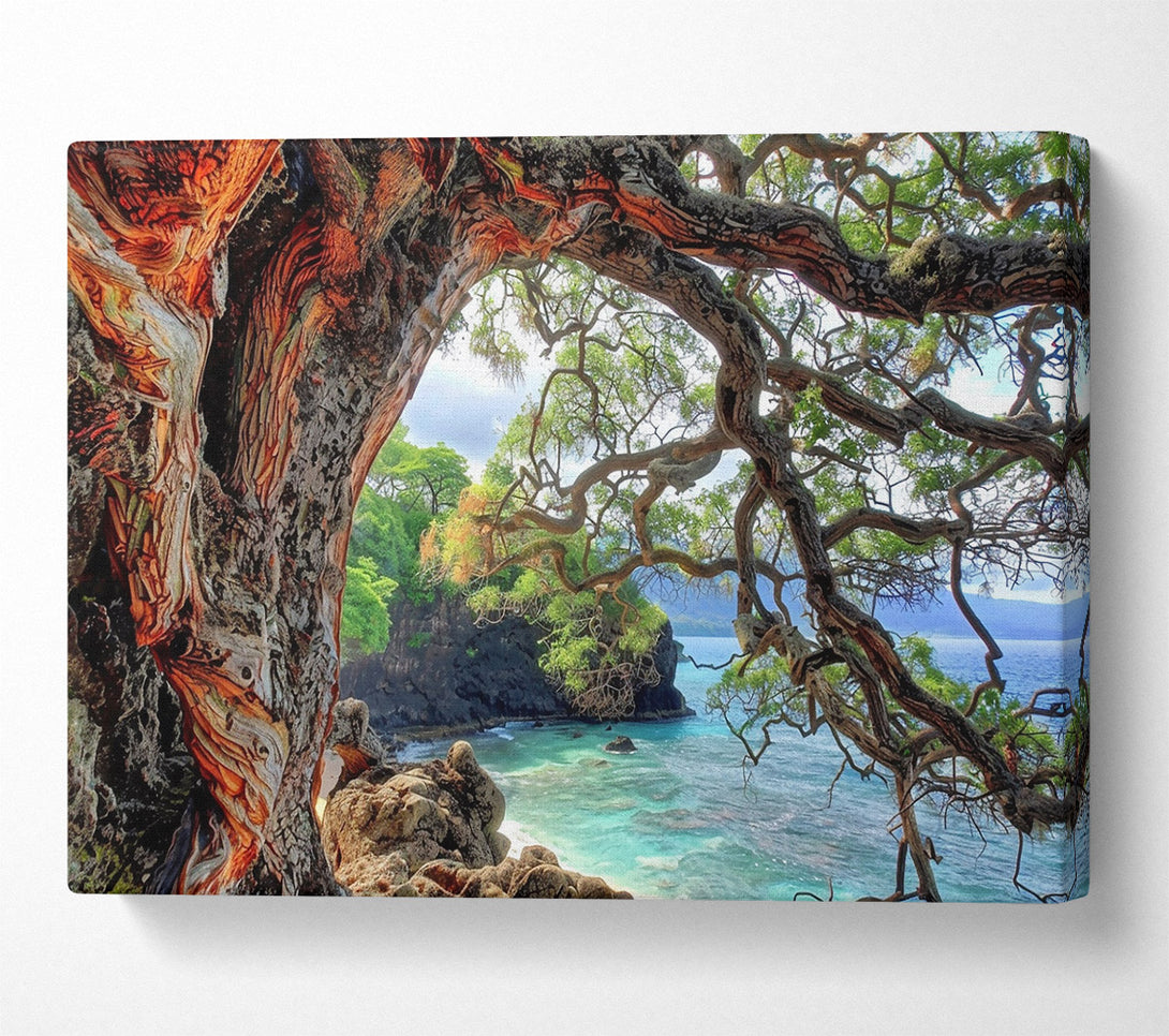  A Canvas Print of Orange Bark Cove Canvas Wall Art