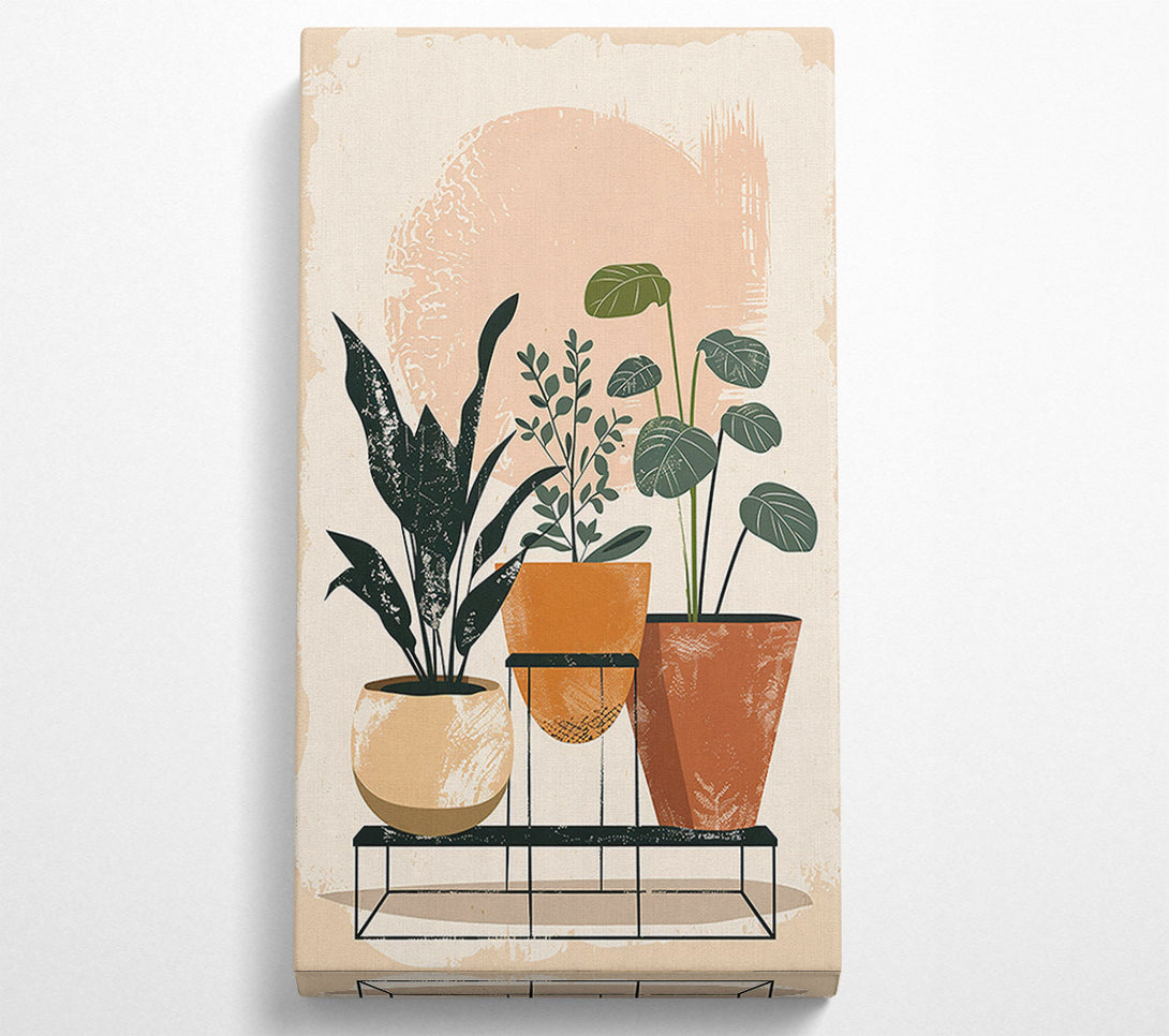  A Canvas Print of Peach Plant Stand Canvas Wall Art
