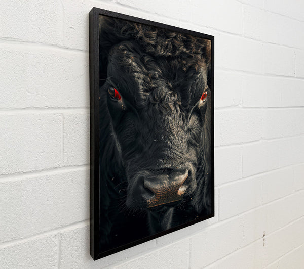Black Bull Stare