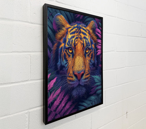 Purple Tiger'S Gaze