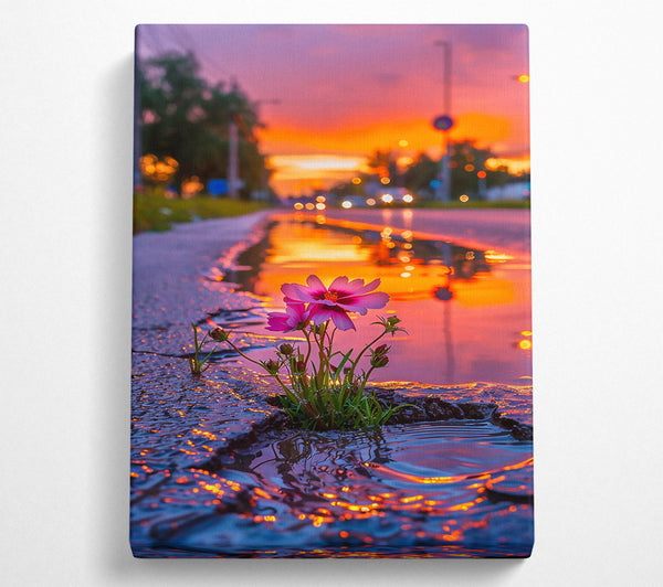  A Canvas Print of Orange Sunset Bloom Canvas Wall Art