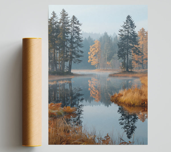 Golden Reflections In Mist Print