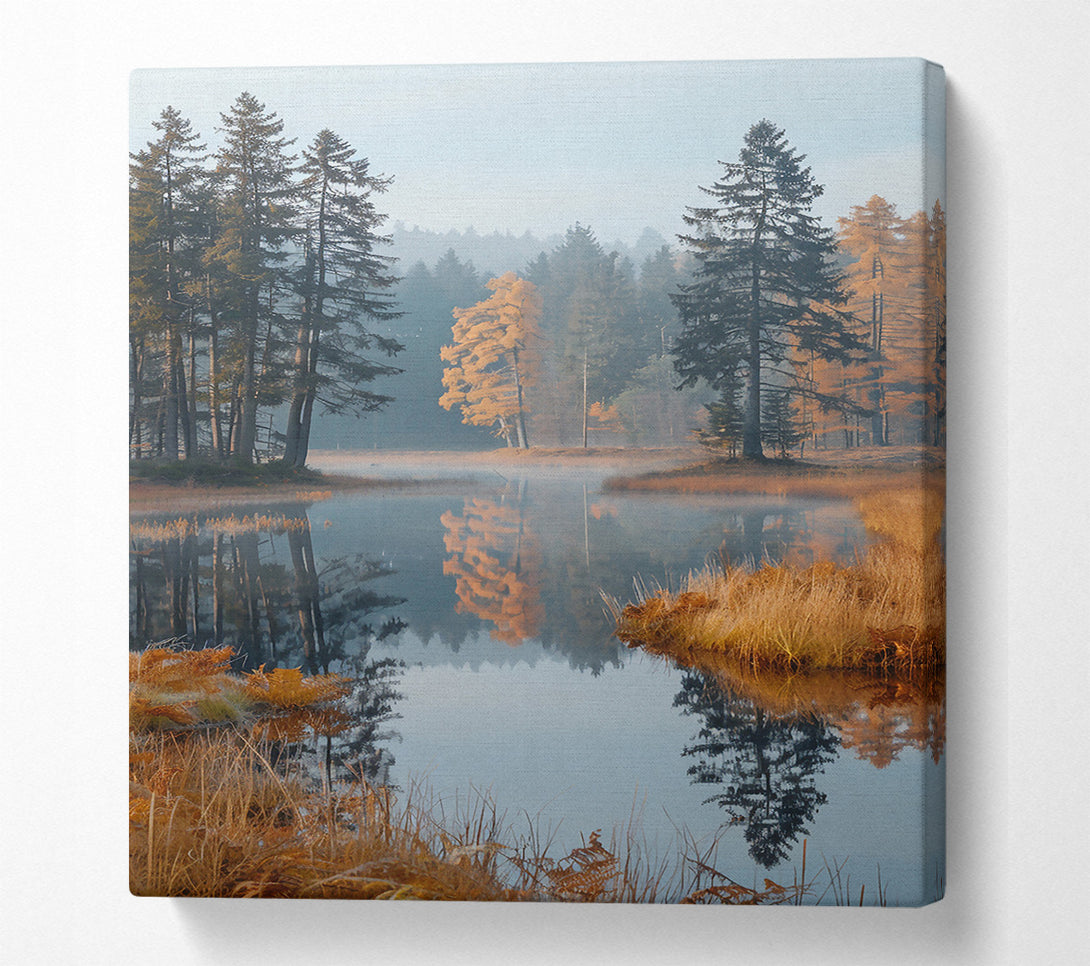  A Canvas Print of Golden Reflections In Mist Canvas Print