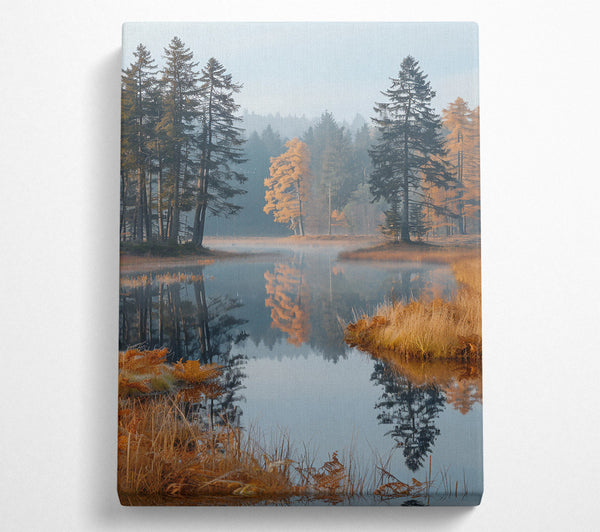  A Canvas Print of Golden Reflections In Mist Canvas Print