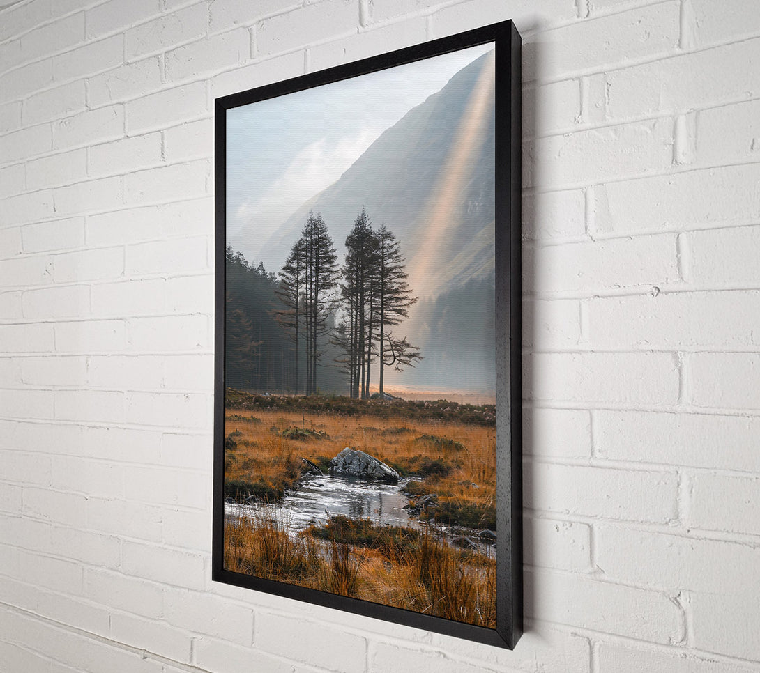  A Canvas Print of Golden Light Through Pines Canvas Wall Art