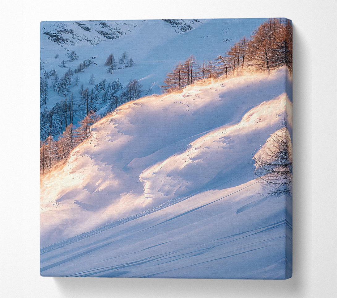  A Canvas Print of Golden Snow Avalanche Canvas Wall Art