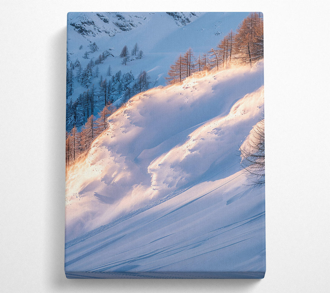  A Canvas Print of Golden Snow Avalanche Canvas Wall Art