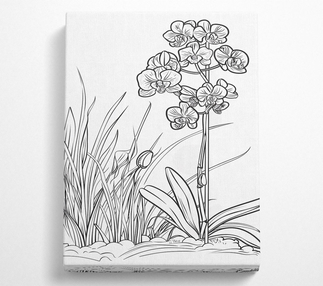  A Canvas Print of White Orchid Bloom Canvas Print