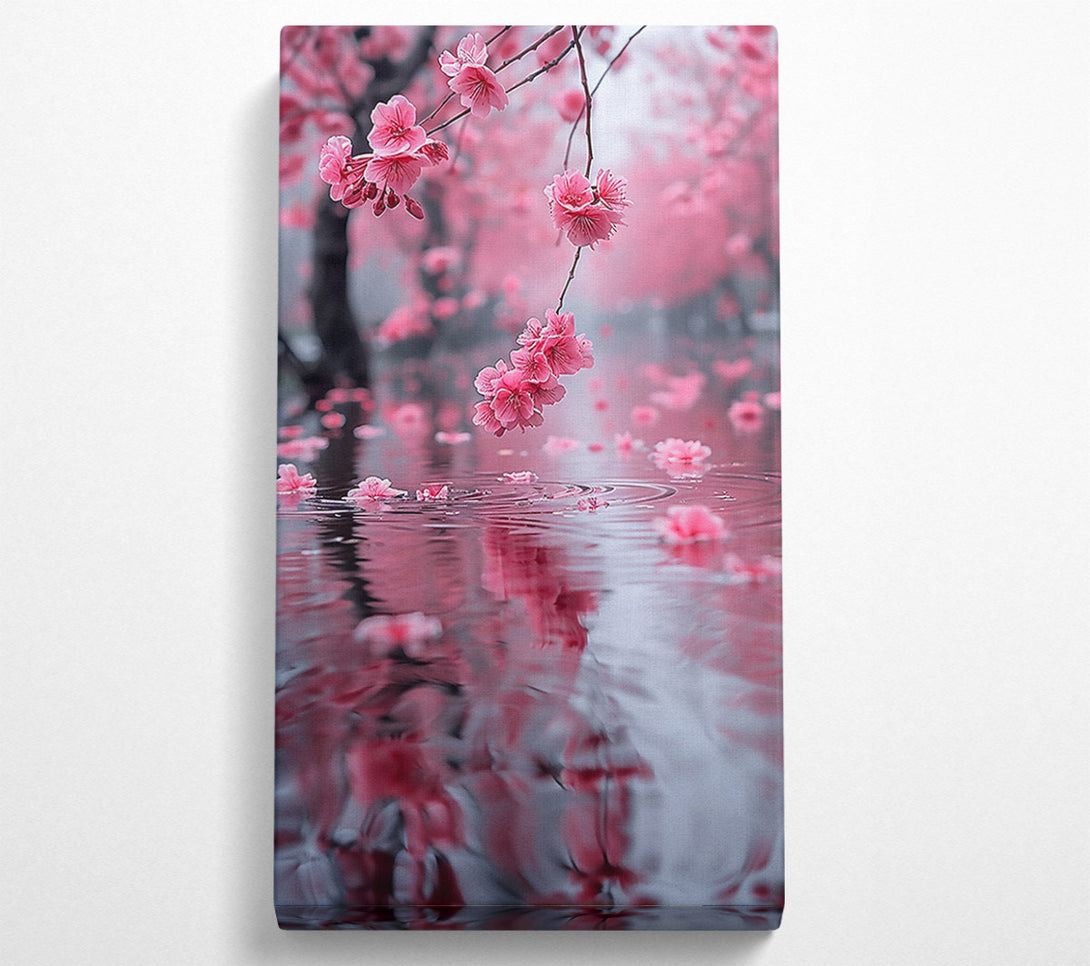  A Canvas Print of Pink Blossom Reflection Canvas Print