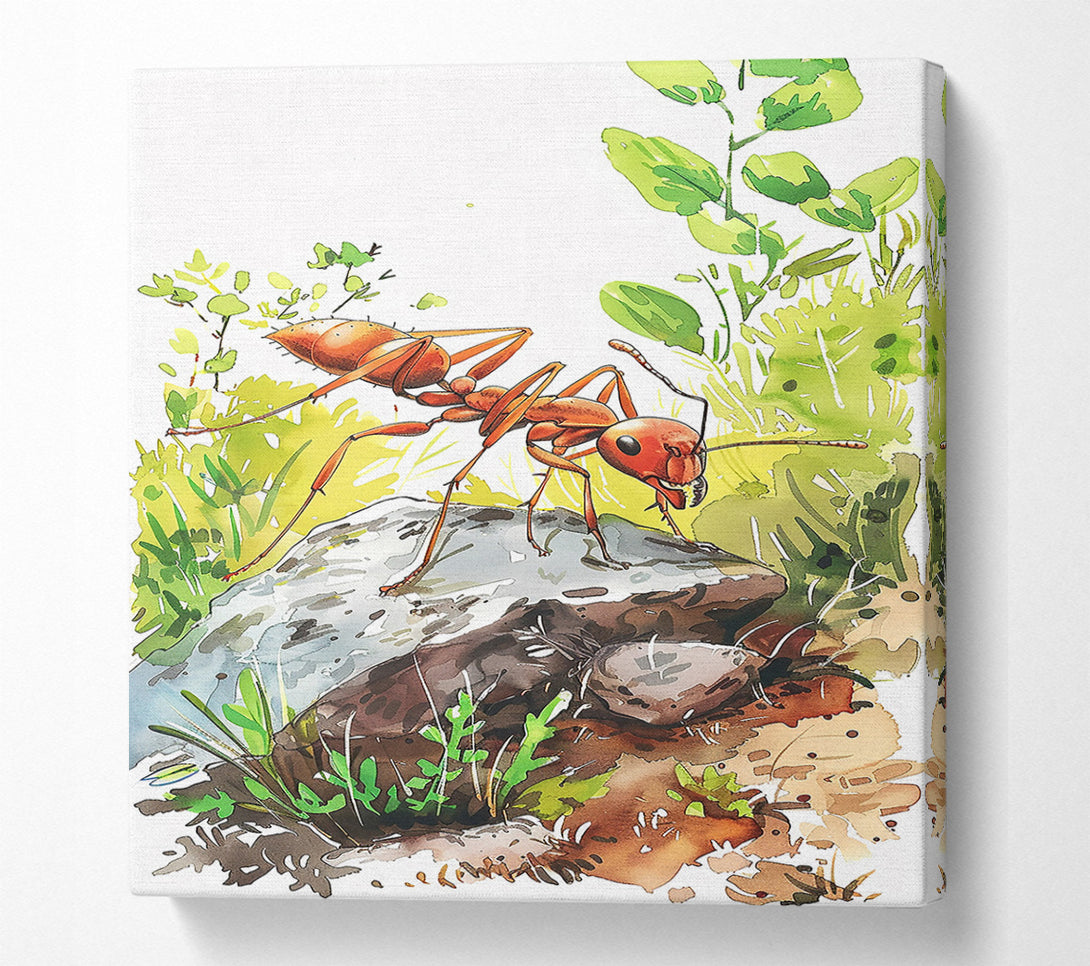  A Canvas Print of The Red Ant'S Rock Canvas Art