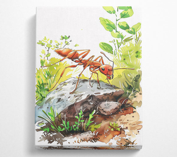  A Canvas Print of The Red Ant'S Rock Canvas Art