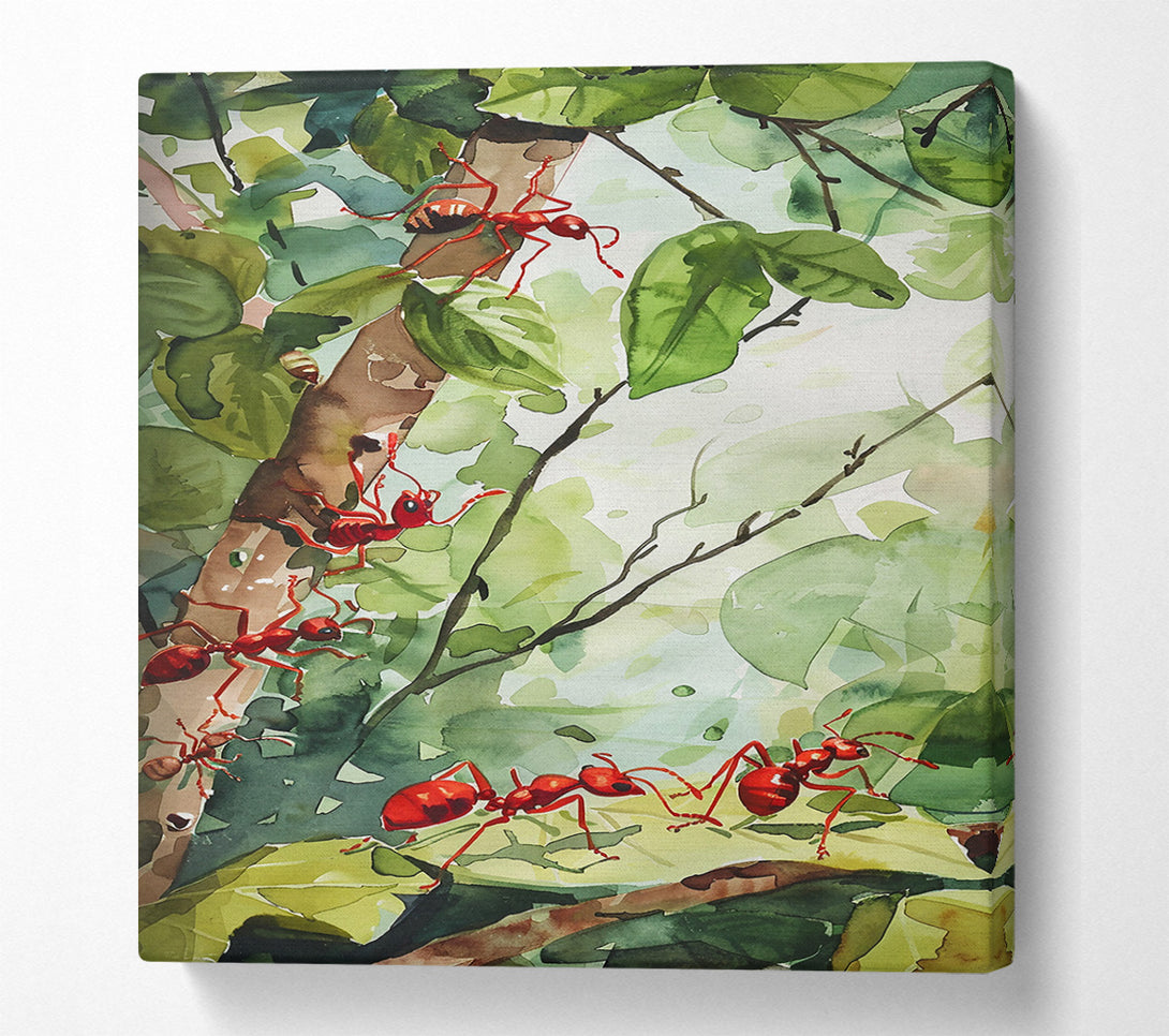  A Canvas Print of Red Ants In The Green Canvas Wall Art