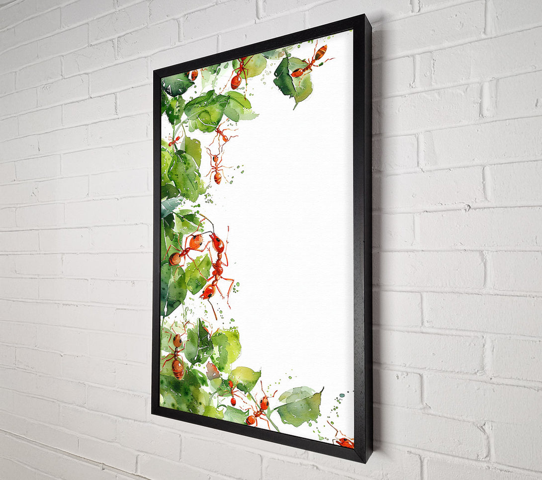  A Canvas Print of Red Ants On Green Leaves Canvas Print