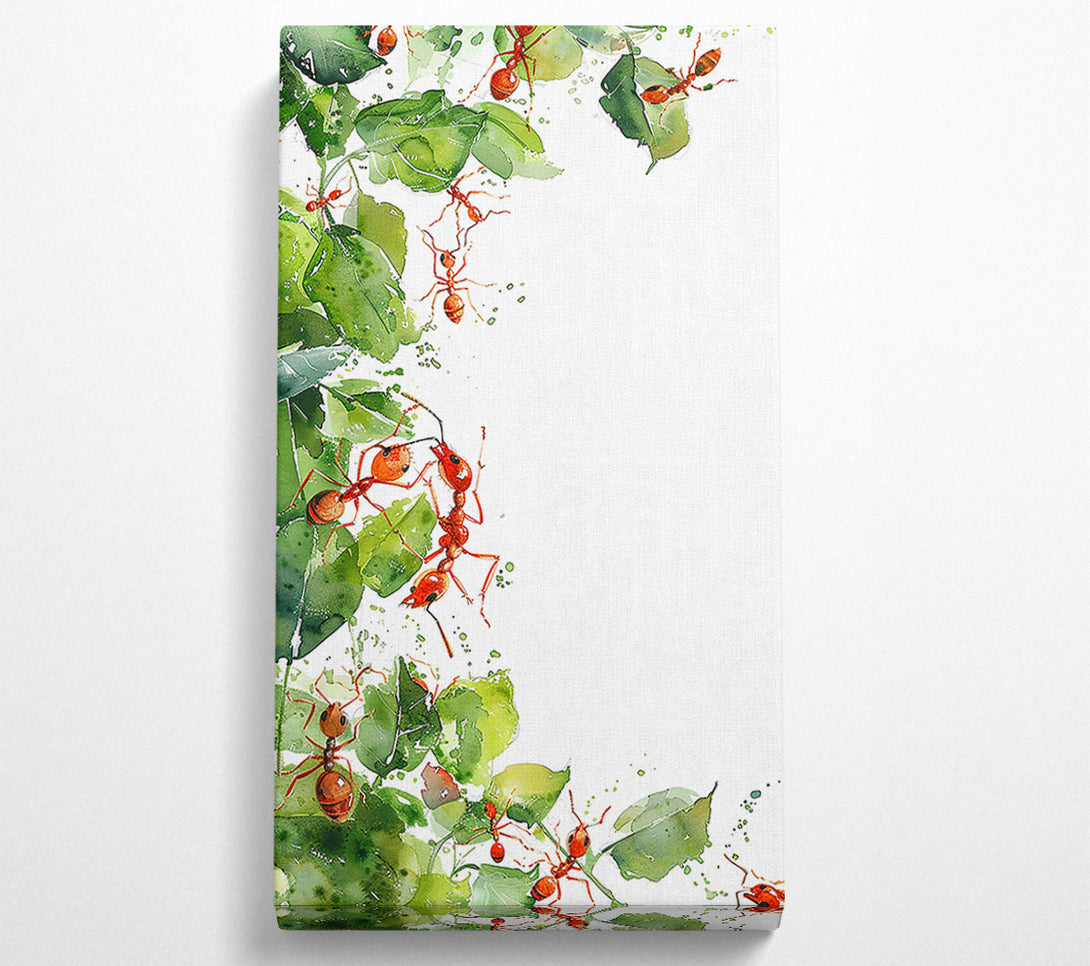  A Canvas Print of Red Ants On Green Leaves Canvas Print