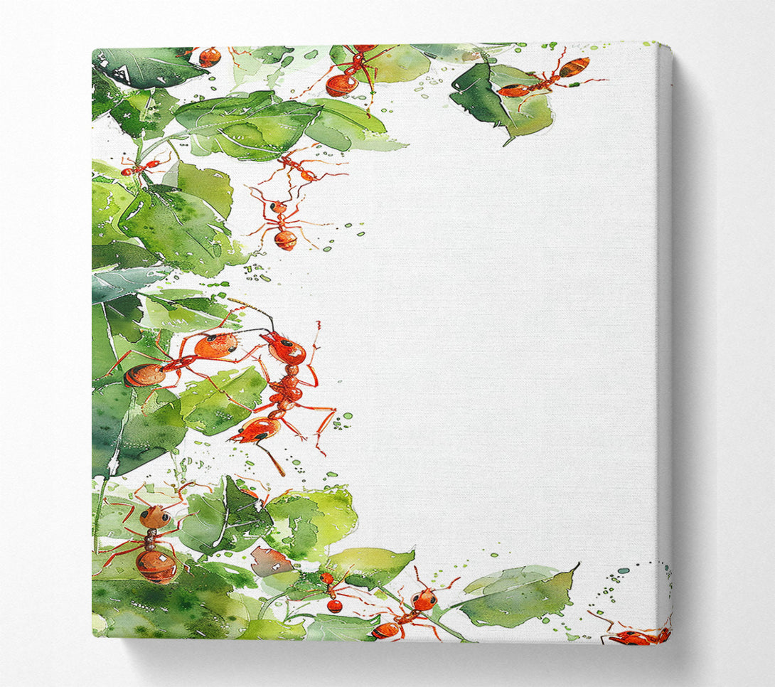  A Canvas Print of Red Ants On Green Leaves Canvas Print