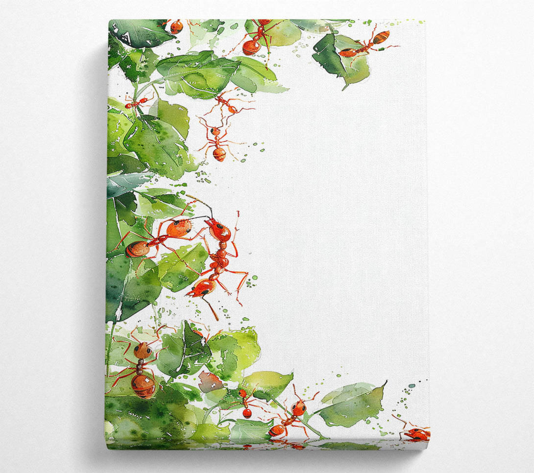 A Canvas Print of Red Ants On Green Leaves Canvas Print
