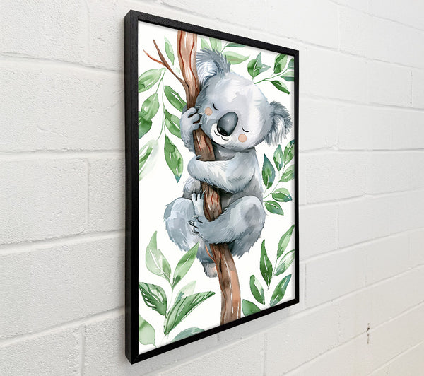 Grey Koala Dreaming