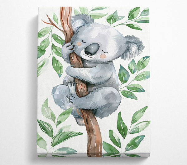 A Canvas Print of Grey Koala Dreaming Canvas Wall Art