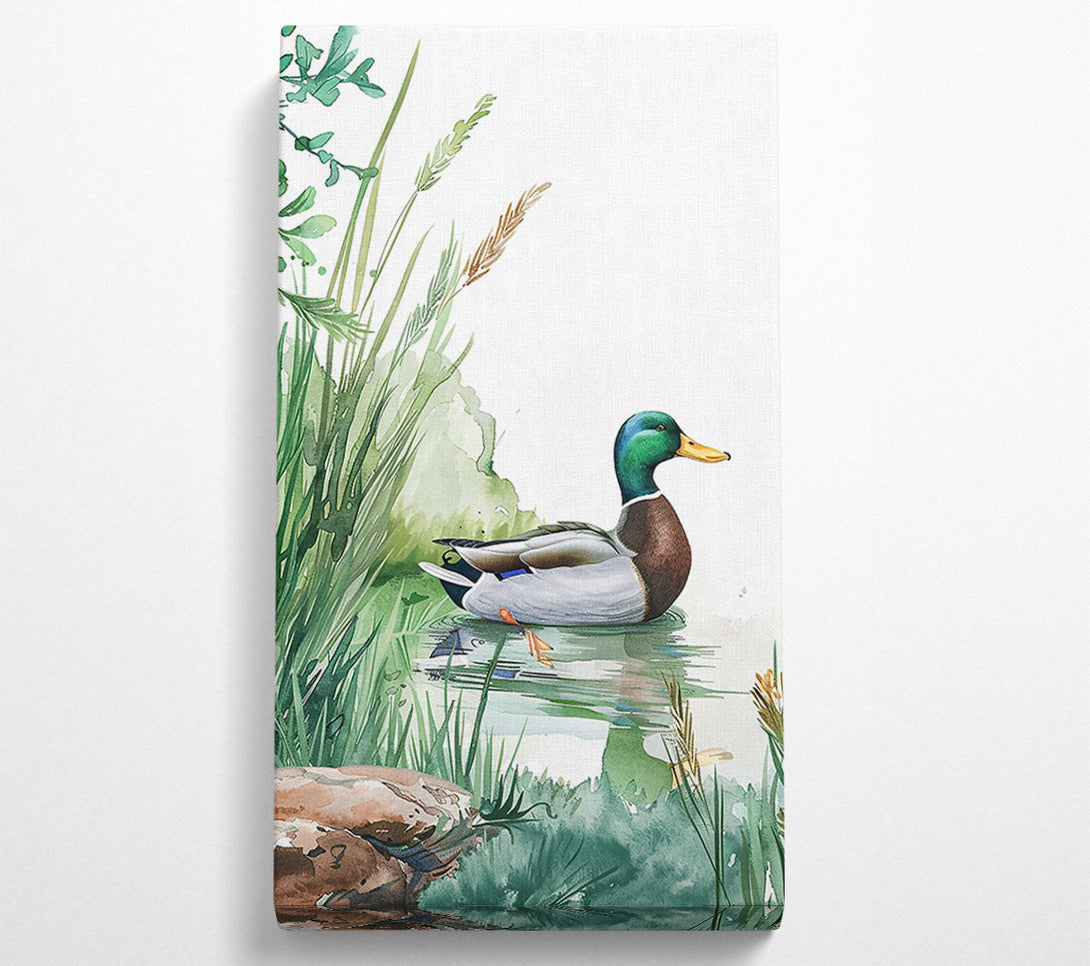  A Canvas Print of Green Mallard In Pond Canvas Wall Art