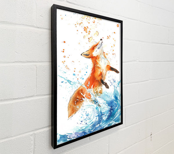 Orange Fox Splashing Blue