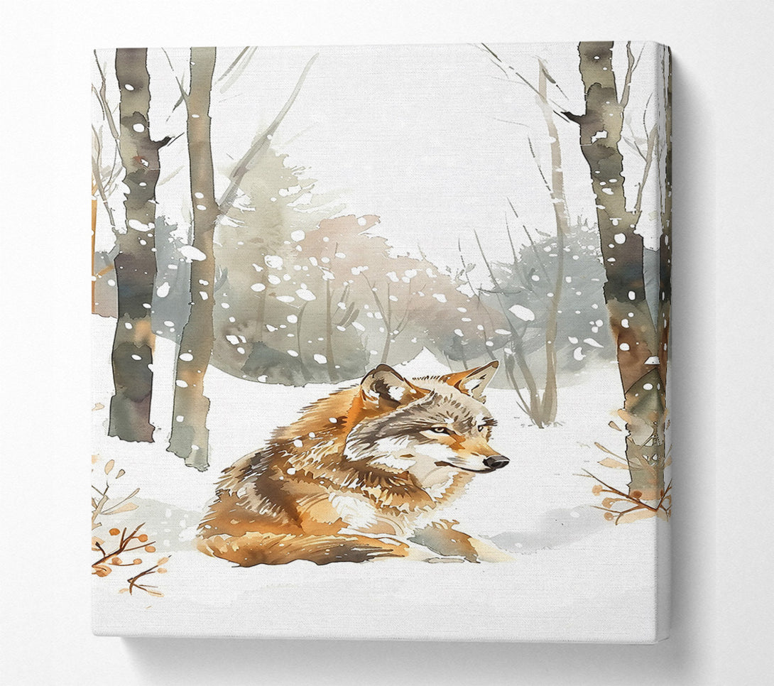  A Canvas Print of Brown Wolf In Winter Canvas Print