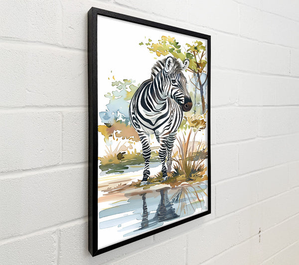 Golden Zebra Reflection