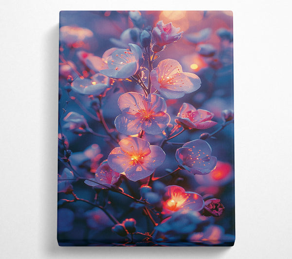  A Canvas Print of Crimson Glow Bloom Canvas Print