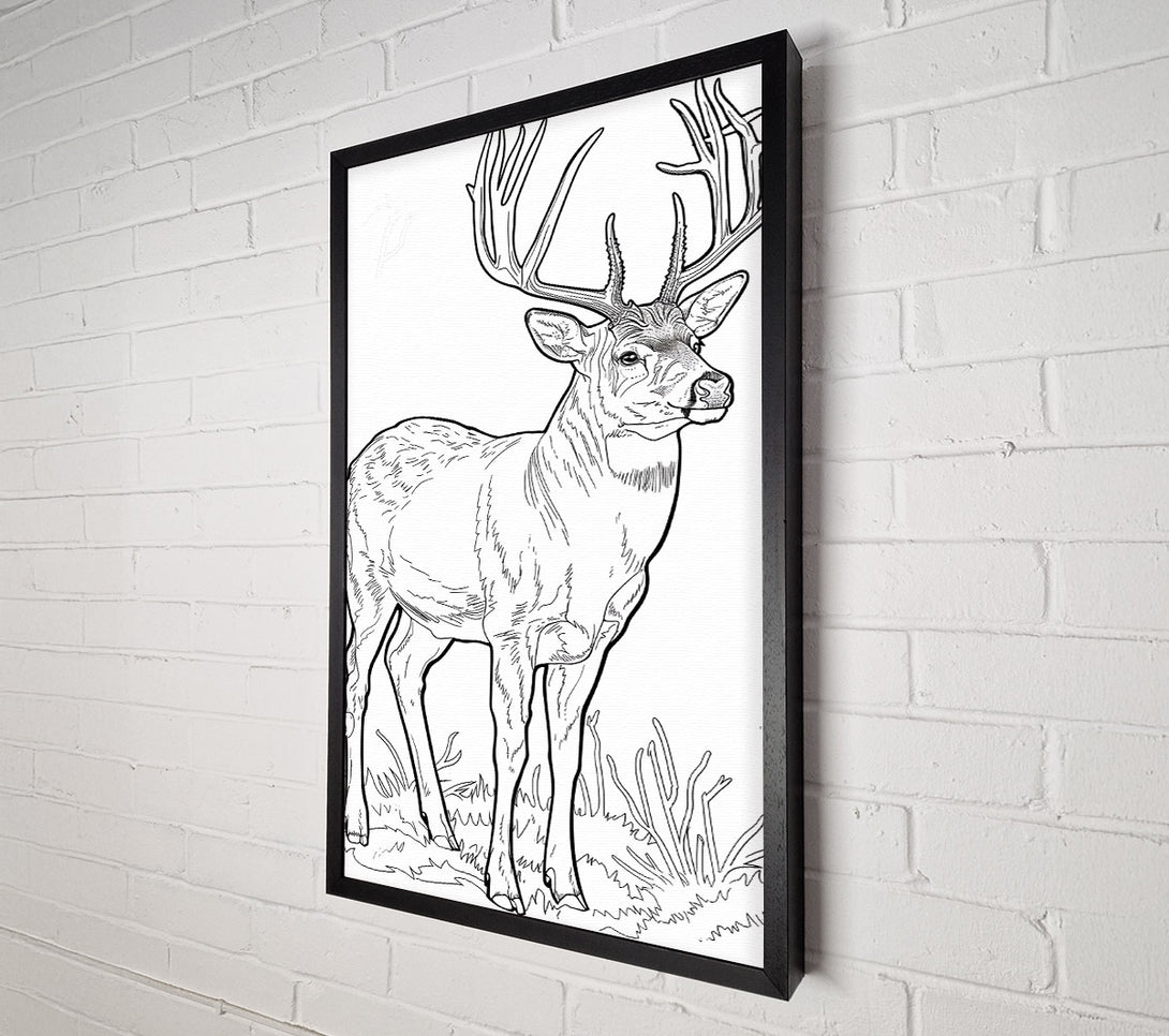  A Canvas Print of Brown Antlered Majesty Canvas Print