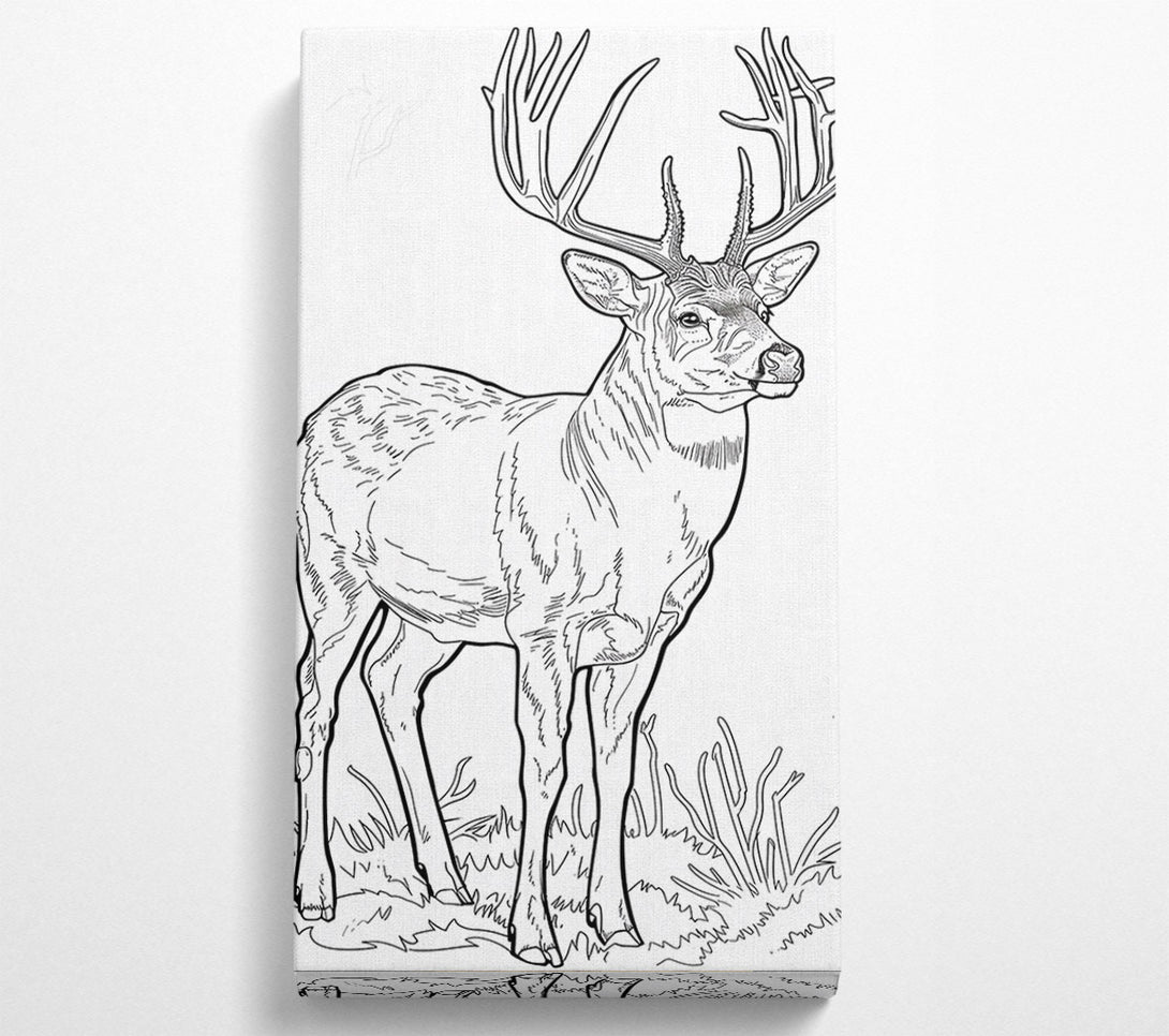  A Canvas Print of Brown Antlered Majesty Canvas Print