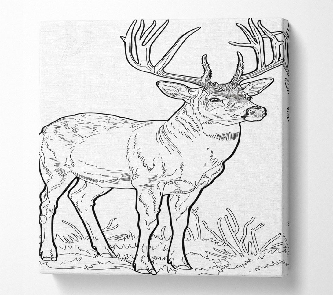  A Canvas Print of Brown Antlered Majesty Canvas Print