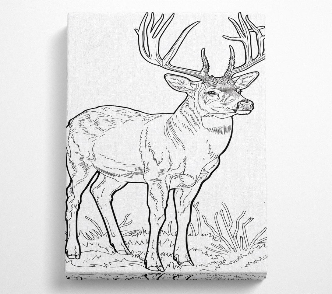  A Canvas Print of Brown Antlered Majesty Canvas Print