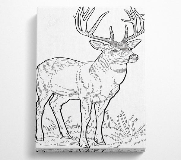  A Canvas Print of Brown Antlered Majesty Canvas Print