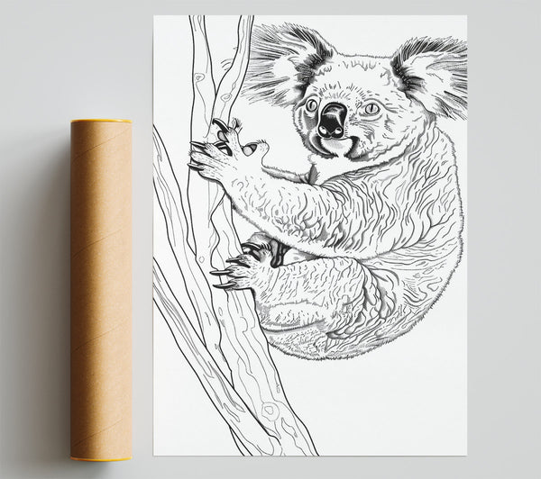 Black And White Koala Poster