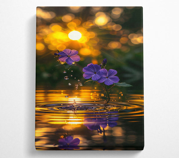  A Canvas Print of Golden Bloom Reflection Canvas Print