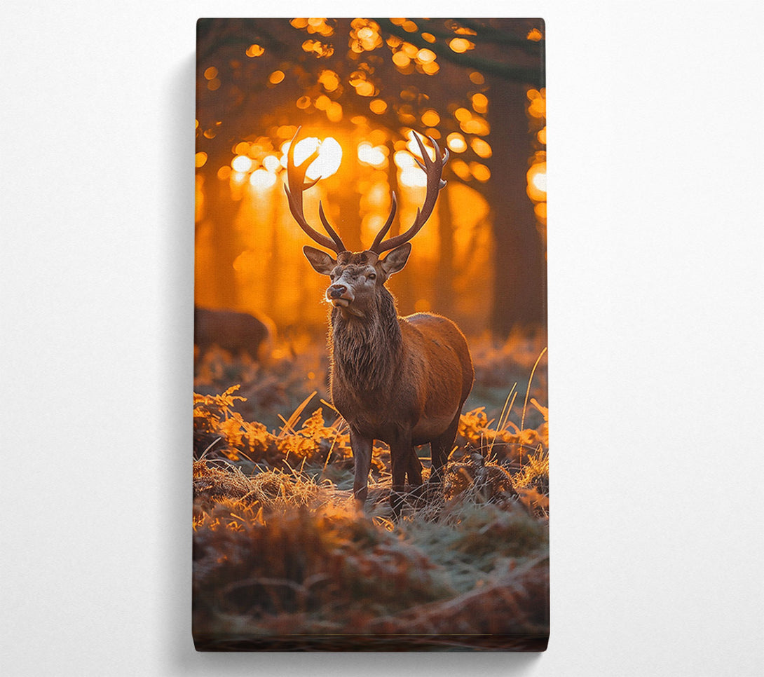  A Canvas Print of Golden Hour Buck Canvas Print