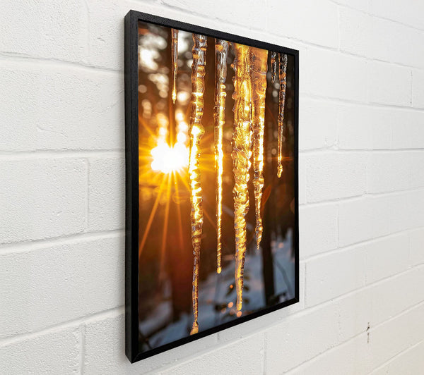 Golden Icicles In Sun